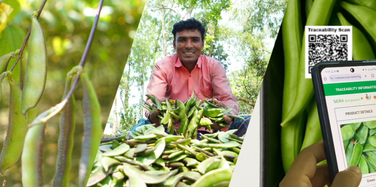 Digital traceability